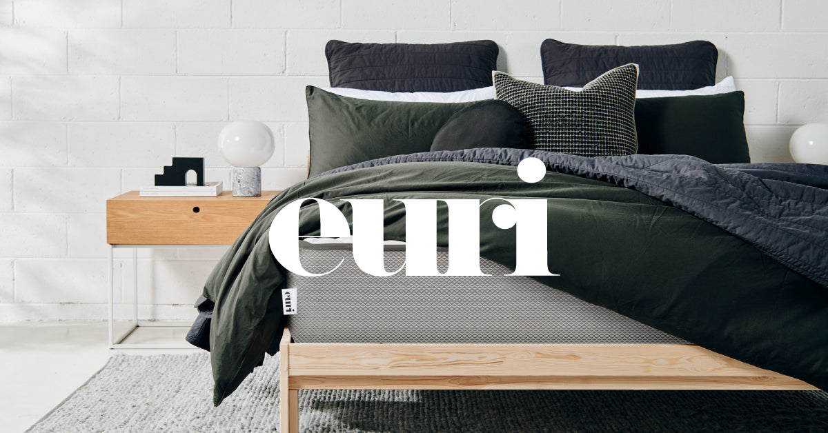 Euri Frequently Asked Questions | EURI